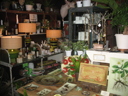 Arsai Gardens in Wicker Park