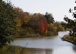 The Chicago Botanic Gardens
