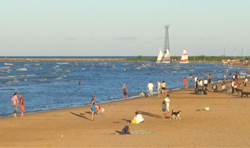 Montrose Beach
