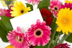 A Bouquet of Flowers for Mothers Day